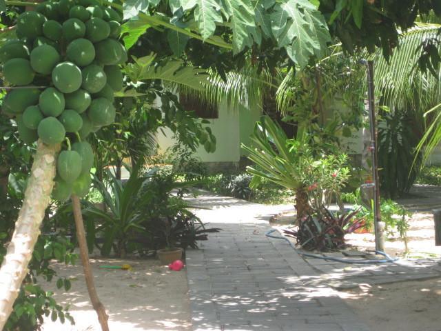 Cocosand Hotel Phan Thiet Exterior foto