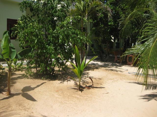 Cocosand Hotel Phan Thiet Exterior foto
