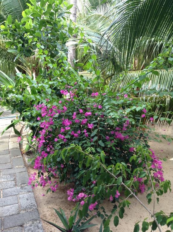 Cocosand Hotel Phan Thiet Exterior foto
