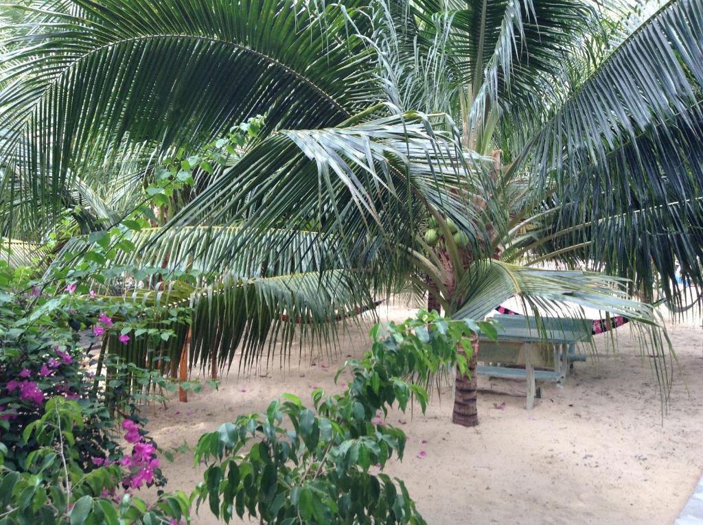 Cocosand Hotel Phan Thiet Exterior foto