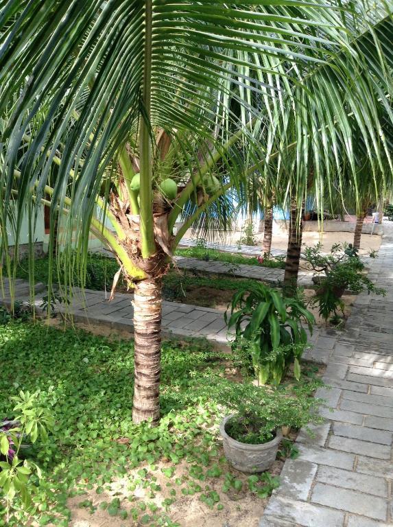 Cocosand Hotel Phan Thiet Exterior foto