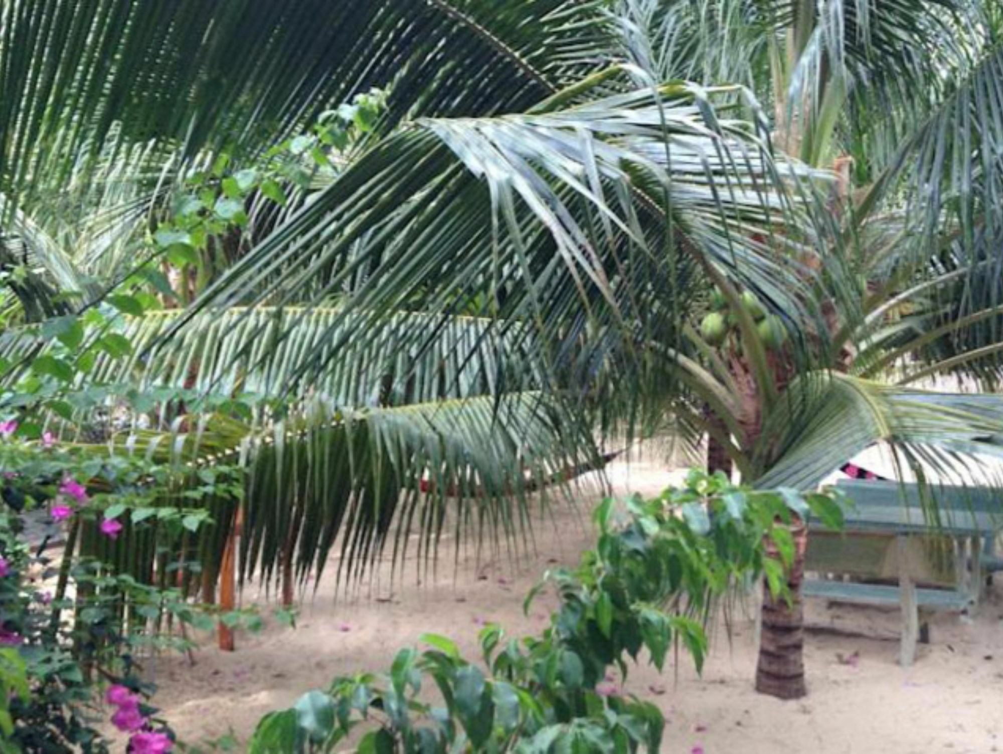 Cocosand Hotel Phan Thiet Exterior foto
